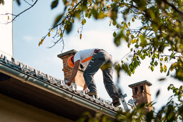 Best Roof Gutter Cleaning  in Thermalito, CA